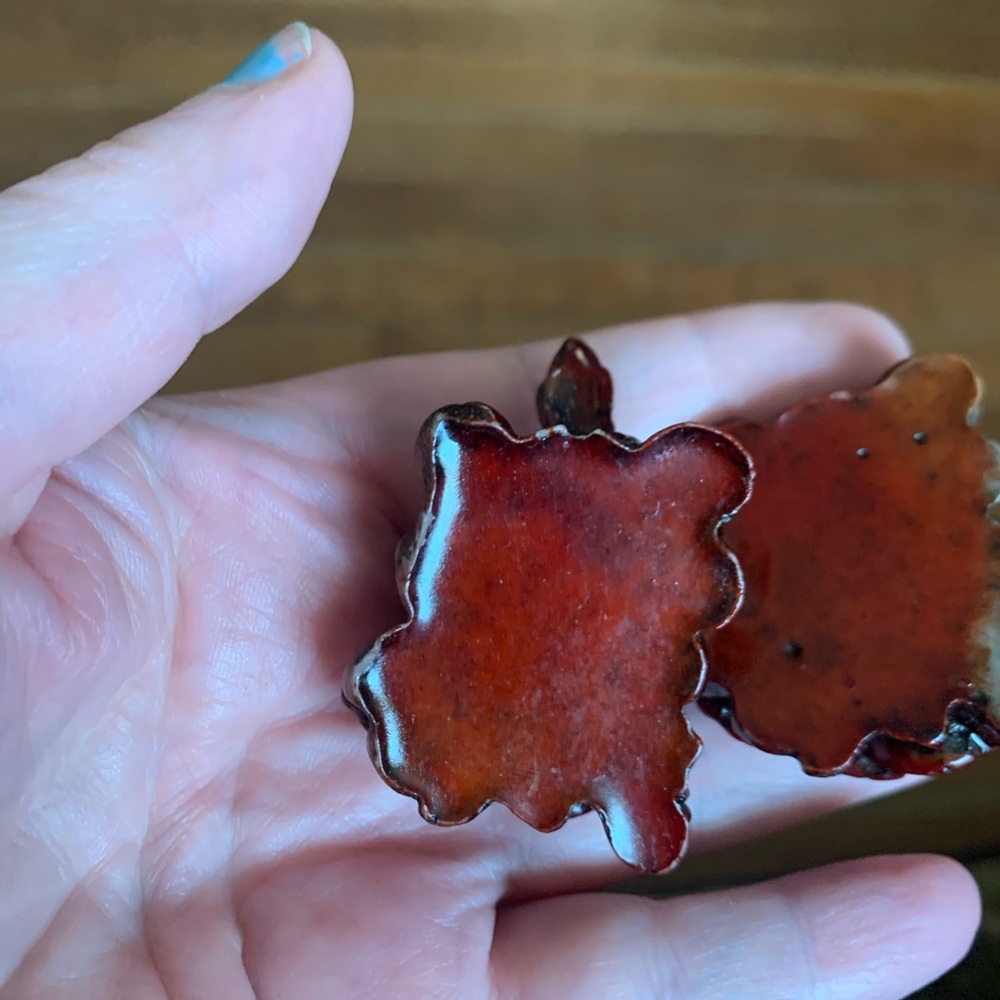 Red turtles 🐢 - Picture 3 of 5